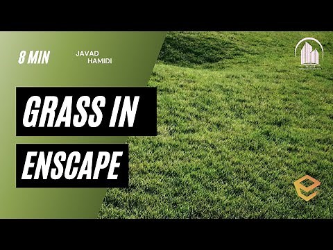 Grass in Revit-Grass in Enscape