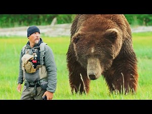 Face to Face with Alaska’s Biggest Bear!