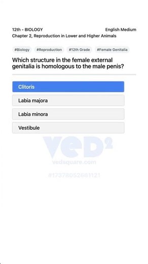 Female Genitalia Homology to Male Penis Biology 12th