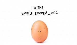 The World Record Egg has a face... and a mission. And they chose the grandest stage possible
