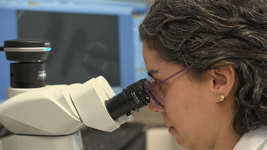 Europe and China to gain from U.S. brain drain as scientists relocate