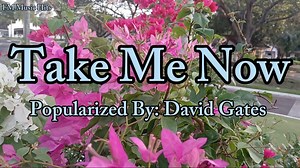 282K views · 7.3K reactions | Take Me Now - David Gates " My Own Video & Cover (Lyrics Video) #fmmusichits #folksong #lovesong #flowers #musiccover #coversong #musiclyrics | FM Music Hits | Facebook