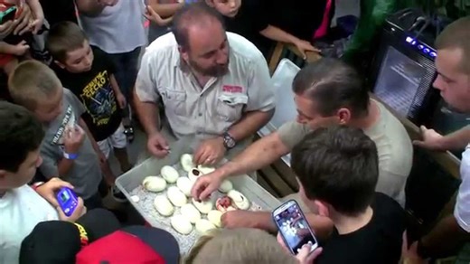 hatching new gene super sun tiger anthrax snakes