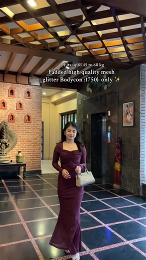 Stunning Mesh Bodycon Dress at Hotel Bhadgaon