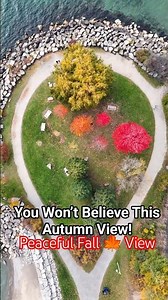 I Found the Most Colorful Fall Trees