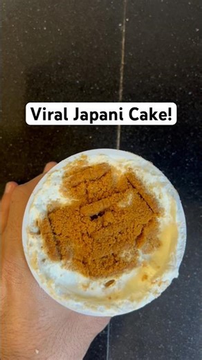 2-Ingredient Japani Cake | Biscoff + Greek Yogurt Viral Dessert