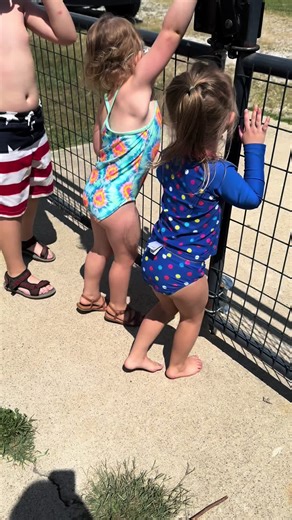 Summer Pool Fun Activities for Kids