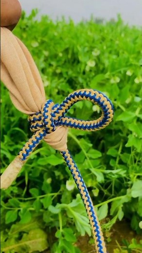 Tie A Tarp corner/ tying a tarp corner tutorial #shorts