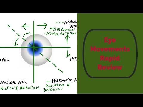 Eye Movements: Rapid Review