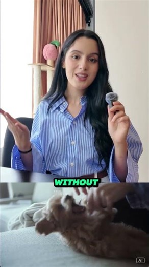 From Crazy Puppy to Calm Dog: The 7-Step Formula