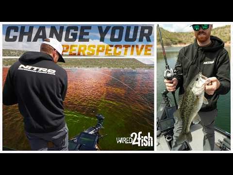 The Big Advantage of Perspective Mode