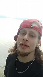 4.8K views · 74 reactions | It's a perfect day to take the dog to the beach for a swim! #reels #dogs #beach #swim | Scrap | Facebook