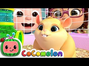 Class Pet Song | CoComelon Nursery Rhymes & Kids Songs