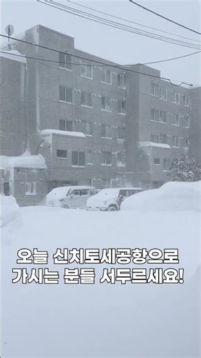 삿포로날씨 2/19 폭풍설 주의보 발령 중 #삿포로날씨 #삿포로여행