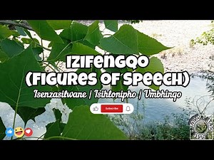 Izifengqo: Isenzasilwane | Isihlonipho | Umbhinqo📚✍️🏾