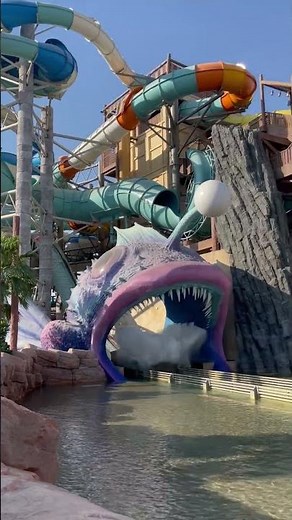 Abu Dhabi Yas Waterworld 💦 | A Beautiful Experience! 🌊