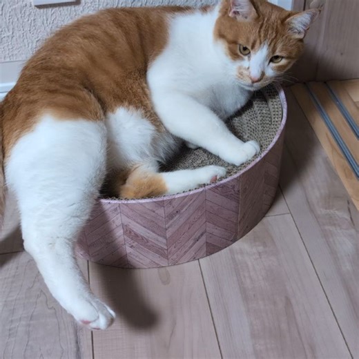 渡邉直樹 on Reels