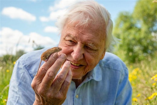 As David Attenborough turns 100, we explore his legacy, from science to storytelling - Hellocare