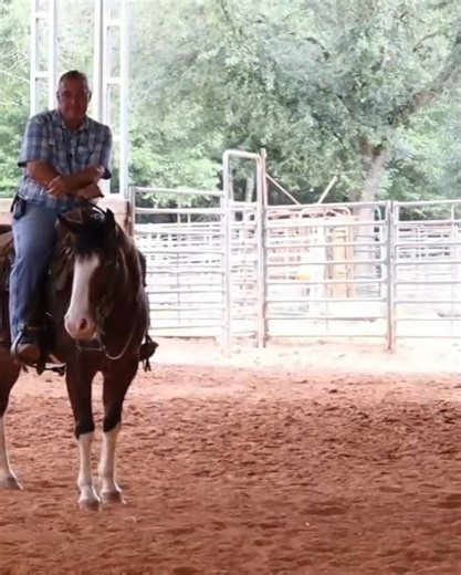 9.5K views · 344 reactions | Feel, Release, What to do when. The 3 areas to work on to become a better horseman. I previously recorded this live on YouTube and think you would enjoy watching it here. I record these live videos on Youtube every Thursday's at 9:00 am central time. | Tim Anderson Horse Training | Facebook
