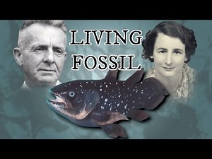 The Living Fossil | The Story of the Coelacanth
