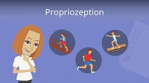 Propriozeption • Definition, Bedeutung