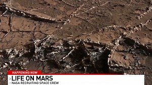 🚀👨‍🚀 MISSION TO MARS.... KINDA! Do you have a year to help NASA? They're looking for a few people to live in their Mars Dune Alpha,” a 3D-printed habitat in Houston at the Johnson Space Center. It's a research project for their first human Mars mission. DETAILS: go.nasa.gov/3fLuJhW | John-Carlos Estrada CBS Austin