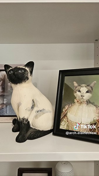 Cat Friendly Japandi Home: A Modern Design Makeover