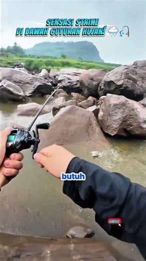 Sensasi Strike di Bawah Guyuran Hujan! 🌧️🎣 #shortvideo #fishing #faktamenarik #mancing #joranbambu
