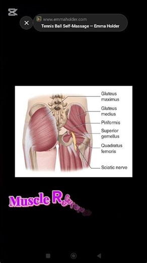 Day 24 – Why pain moves in the body (hip stabilizers)#hippain,#selfmassage,#ballmassage,#massage