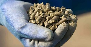 Alfalfa Meal Fertilizer: Naturally Super Charge Your Garden Soil