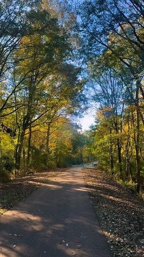 56 reactions | One of the best leg workouts you’ll ever do is uphill sprints and downhill lunges! Killer quad workout 朗 I won’t be able to walk by Friday  ‍♀️例 #fitnessjourney #workoutmotivation #legwork #lunges #sprints | Beth Walker | Facebook