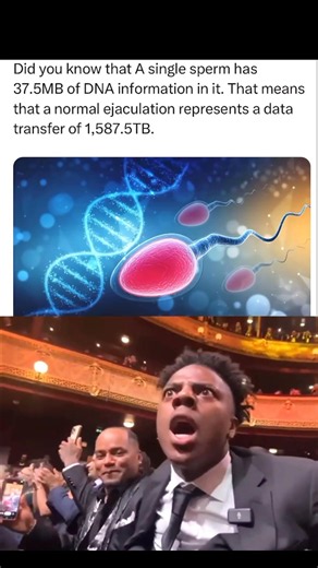 That's a lot of info | #viralreels #memes #funny