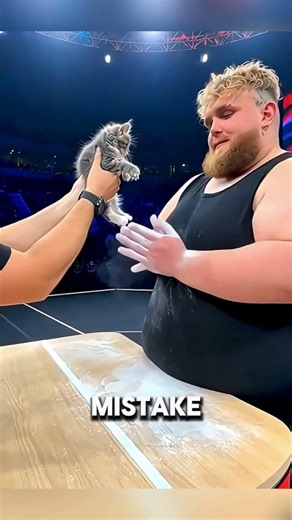 “Man vs Cat Slap Fight… One Hit Changed Everything