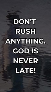 🙏🏼💯❤️ | American Fox