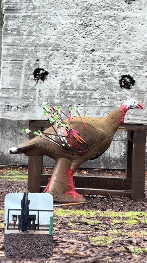 30+ arrows - 1 Turkey! #turkey #archery #hunting #turkeyhunting
