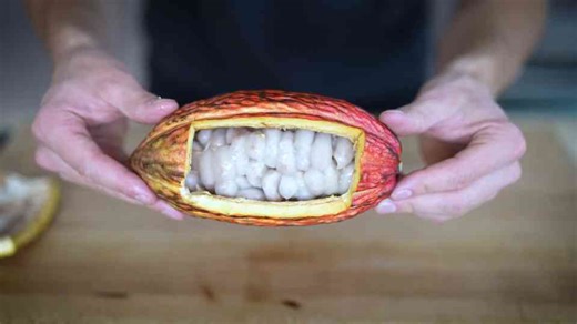 From Scratch: Chocolate Cake with a Lava Core