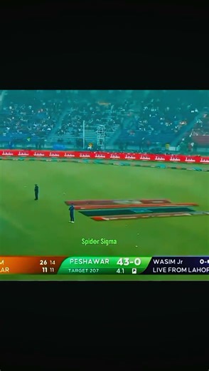 #king sigma#spider sigma