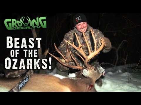Bow Hunting Whitetails: 181" Buck Killed In Missouri (#213) @GrowingDeer.tv