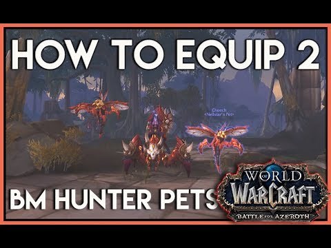 World of warcraft: How to equip 2 BM Hunter Pets in BFA