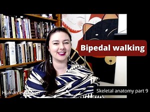 Bipedal walking