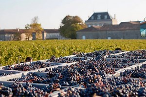 Bordeaux private wine tour from San Sebastian -