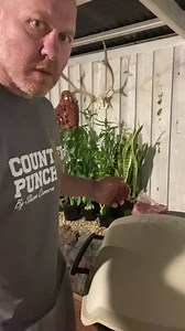 19K views · 436 reactions | Cook up - Pulled Pork... #getinmyguts | Shane Cameron | Facebook