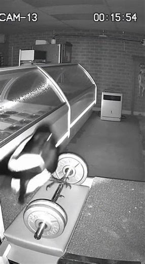 Midnight Workout 👁️‍🗨️💪