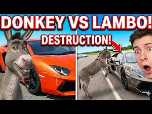 $500,000 Lamborghini vs. Angry Donkey!.