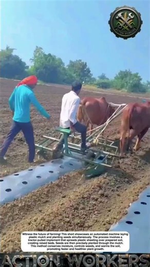 Precision Planting: Automated Mulch Laying for Optimal Crop Growth #agritech