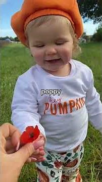 Adventures with Bug | Saxbys Cider - Pumpkin picking Halloween 2023