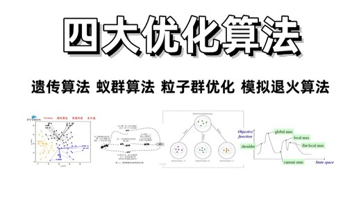 【2025】优化算法课程讲解，涵盖遗传算法、蚁群算法、模拟退火算法、粒子群优化算法等多个优化算法一次性吃透！！MATLAB/机器学习/人工智能课程/Python