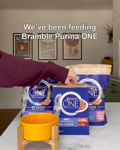 10K views | See a difference in 3 weeks. | Purina ONE UK | Facebook