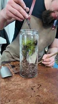 Today we’re building a terrarium in this beautiful narrow cylinder.