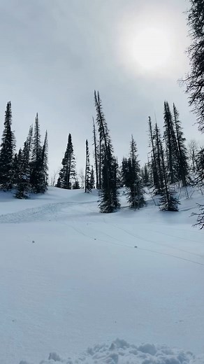 Utah Deep Powder Day Snowmobiling #fblifestyle | Candrett